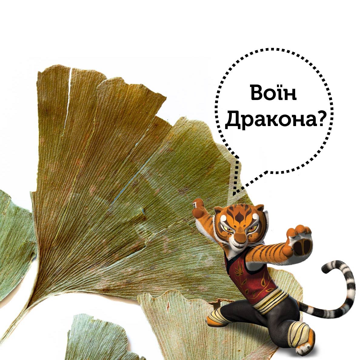 Трав'яний чай Гінкго Білоба - Зображення 3