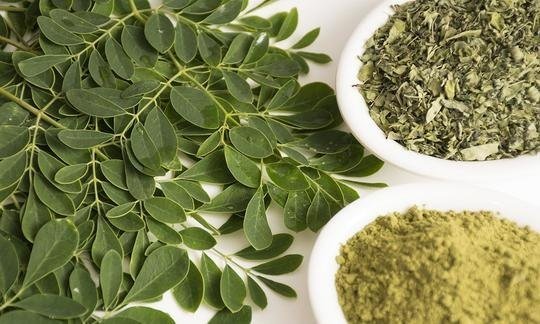 🌿 Organic Moringa Energy